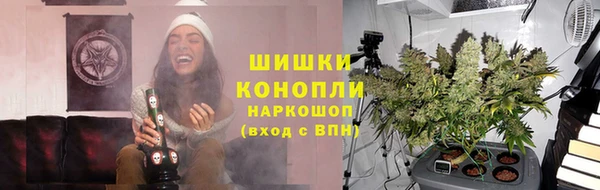 дживик Балахна