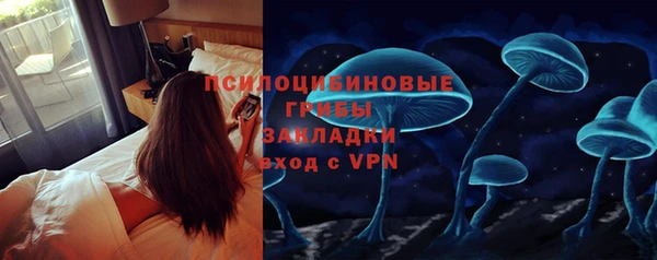 дживик Балахна