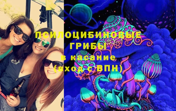 дживик Балахна