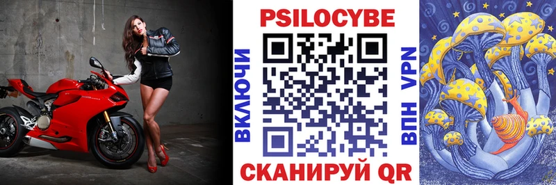 Галлюциногенные грибы Cubensis  Спасск-Рязанский 